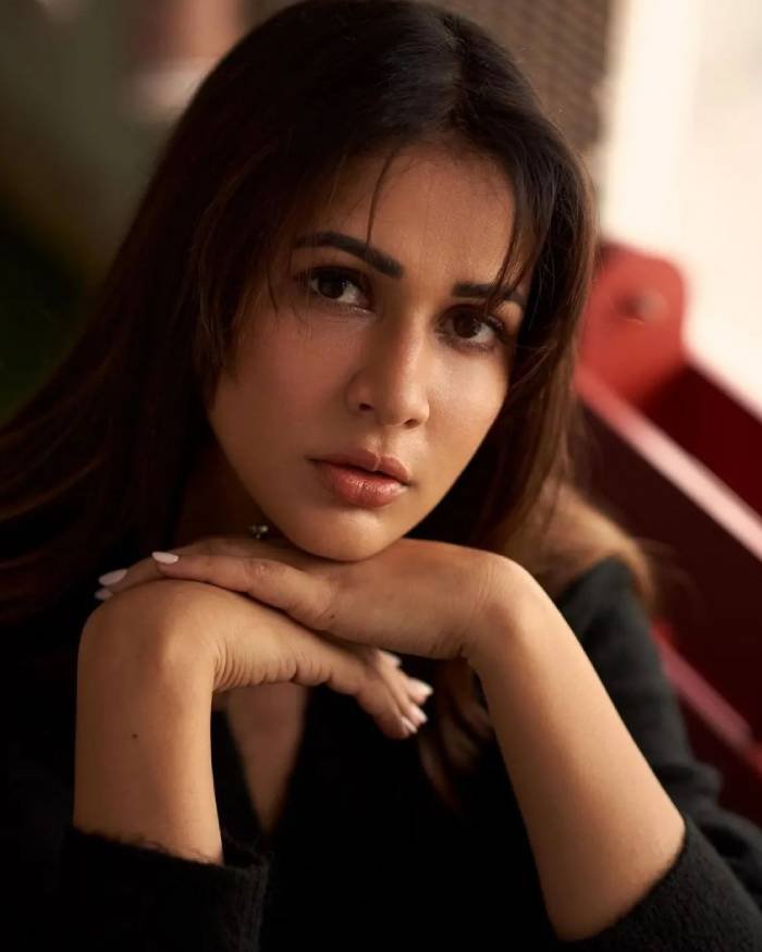 lavanya tripathi_teluguvox 2